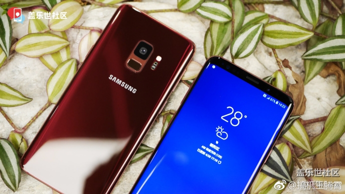 Samsung Galaxy S9/S9+ цвета Burgundy Red