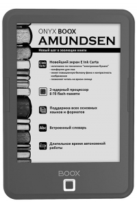 Ремонт электронной книги ONYX BOOX Amundsen в Москве